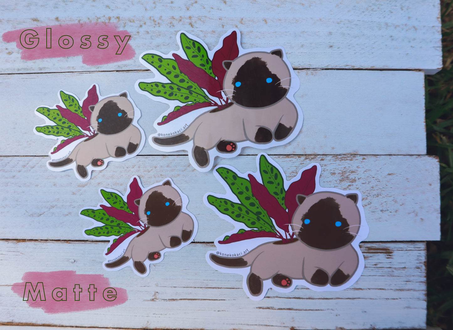 Koneko Calathea Lancifolia Sticker