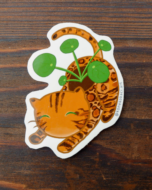 Koneko Chinese Money Plant Sticker