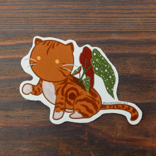 Koneko Begonia Maculata Sticker