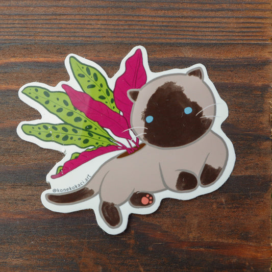 Koneko Calathea Lancifolia Sticker