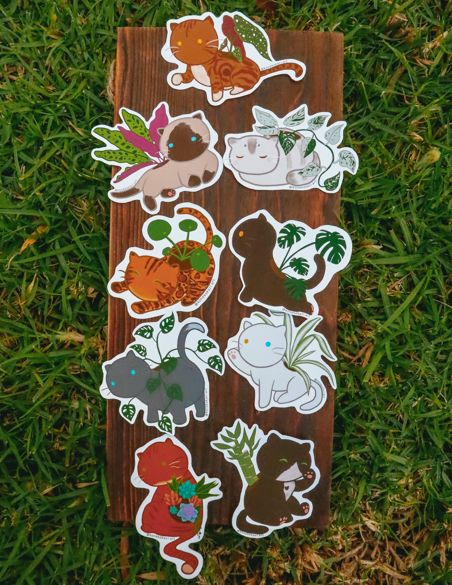 Koneko Monstera Sticker