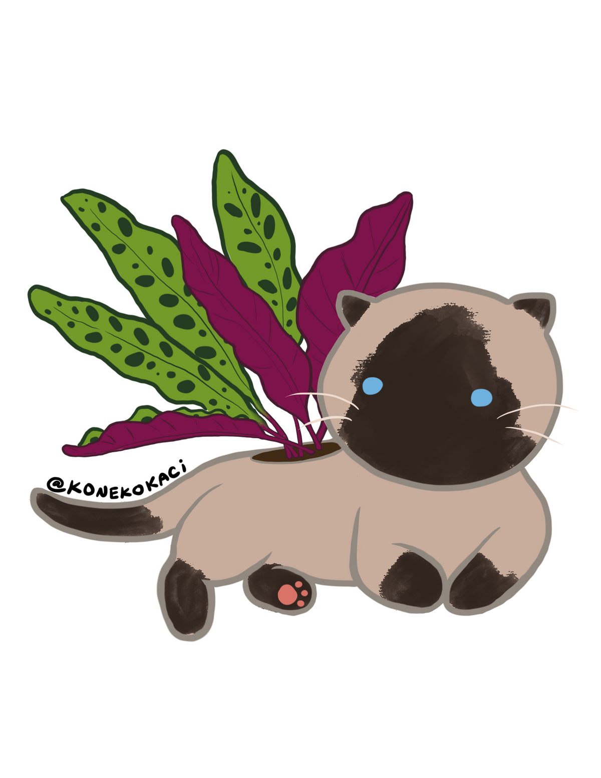 Koneko Calathea Lancifolia Sticker