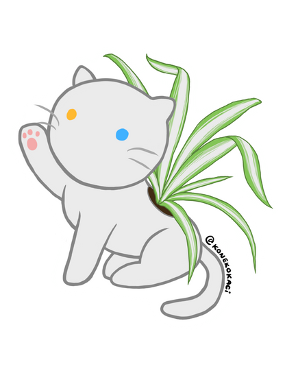 Koneko Chlorophytum Comosum Sticker