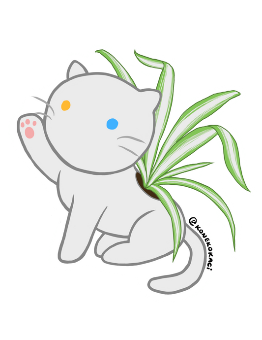 Koneko Chlorophytum Comosum Sticker