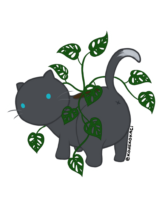 Koneko Monstera Adansonii Sticker