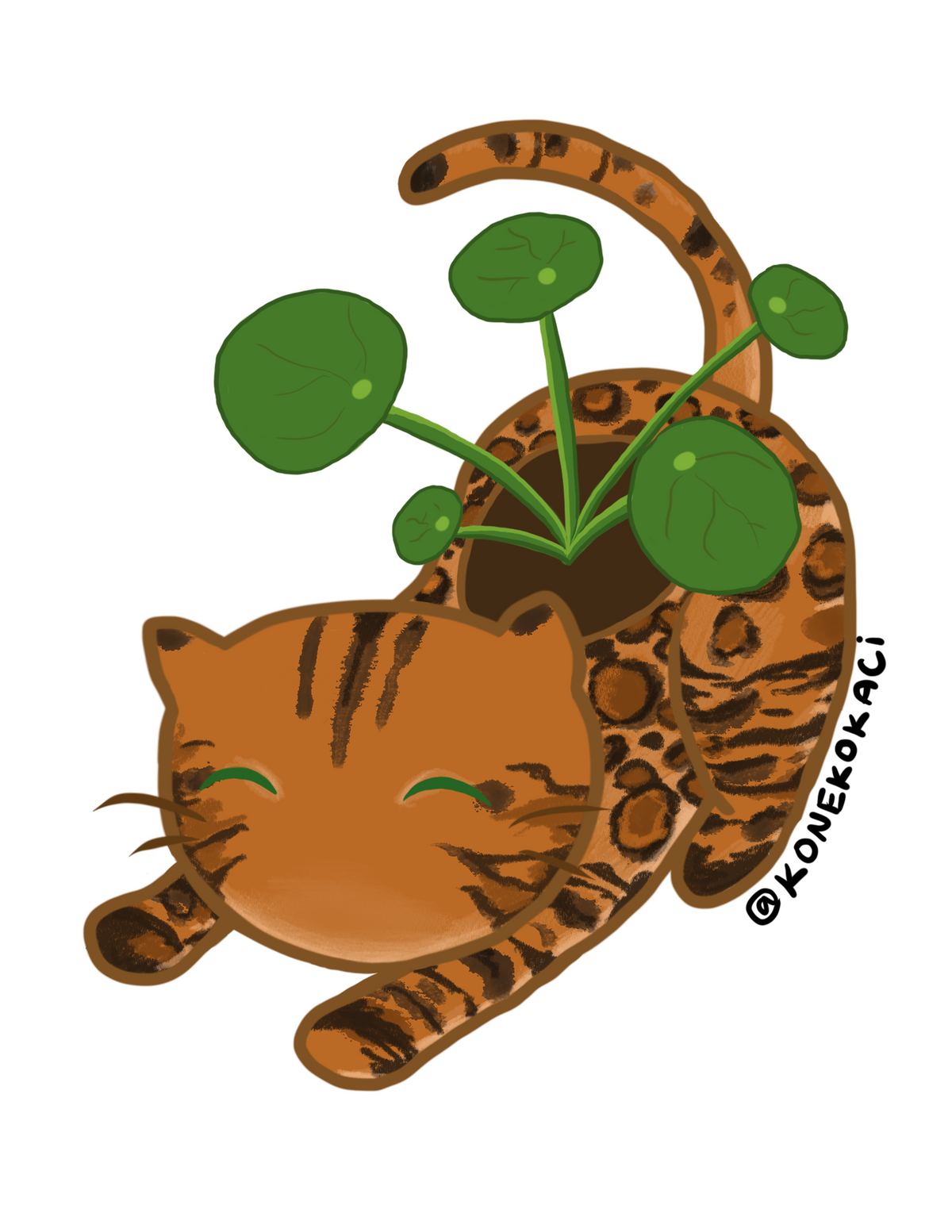 Koneko Chinese Money Plant Sticker