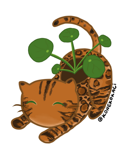 Koneko Chinese Money Plant Sticker