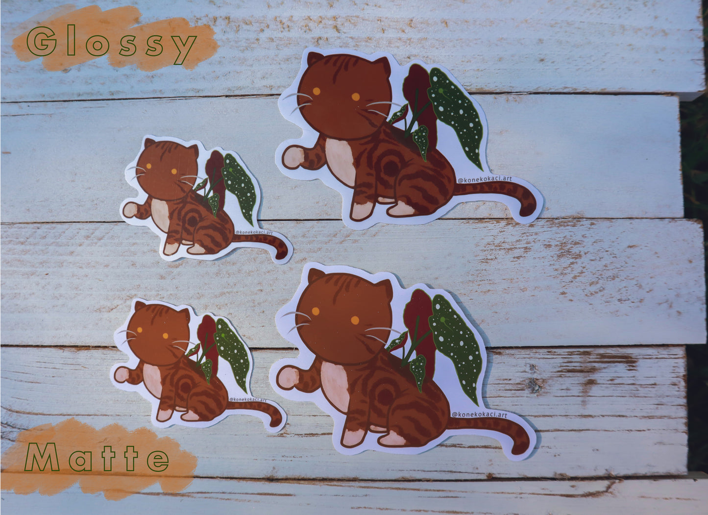 Koneko Begonia Maculata Sticker