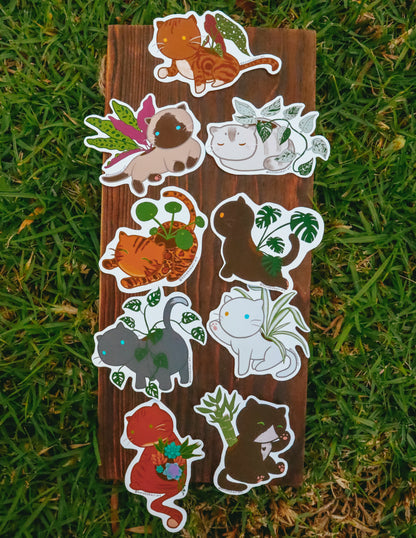 Koneko Monstera Adansonii Sticker