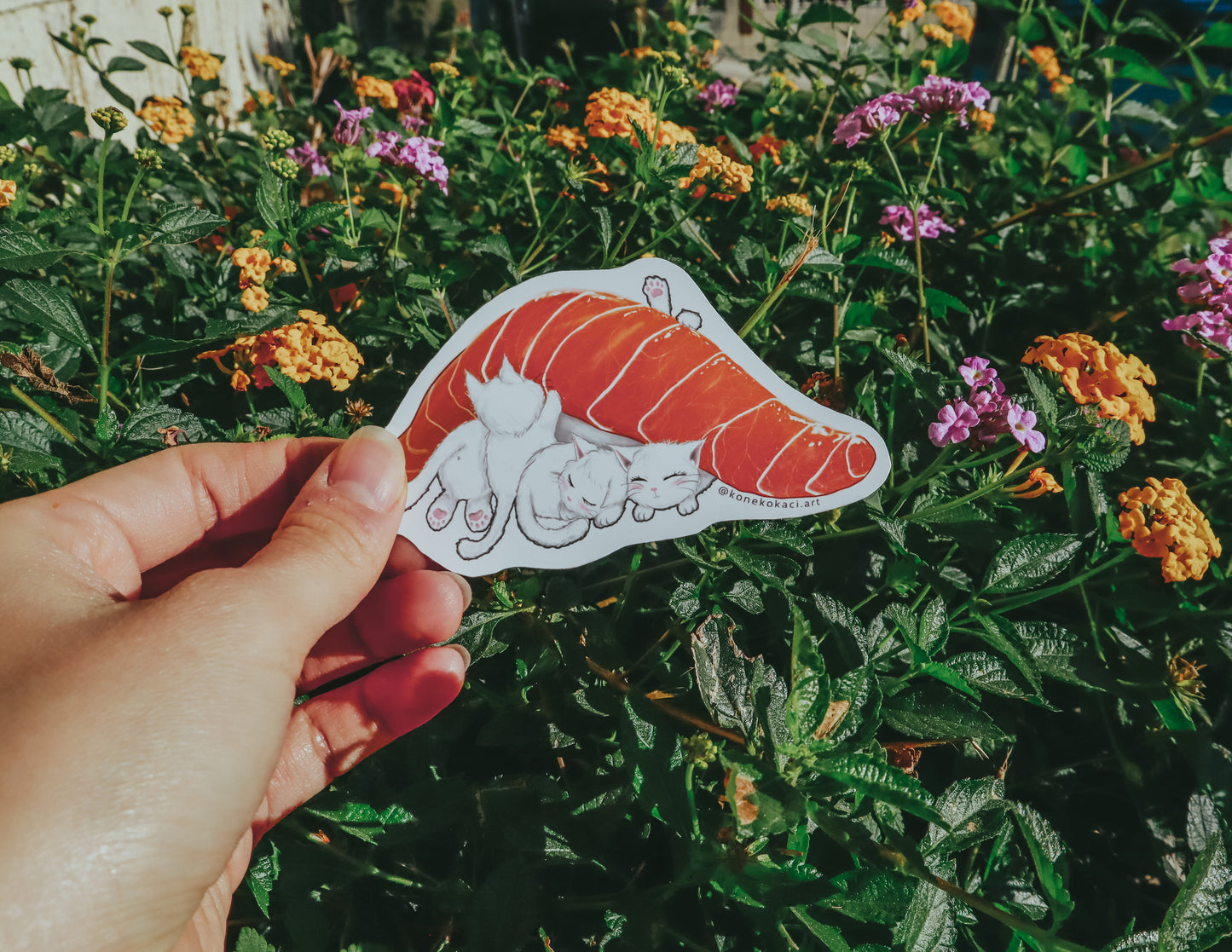 Neko Sushi Sticker